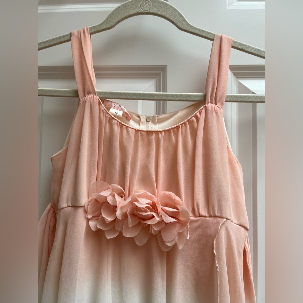 Biscotti Girls size 14 EUC flower girl recital special occasions dress